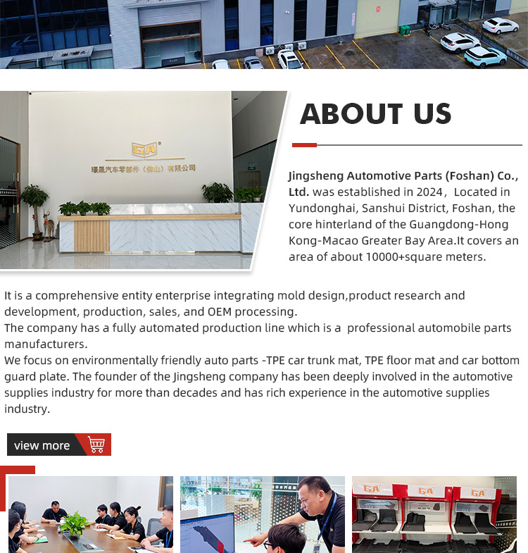 GA Premium TPE Car Floor Mats Odorless Car Mats Carpet Mat for BYD